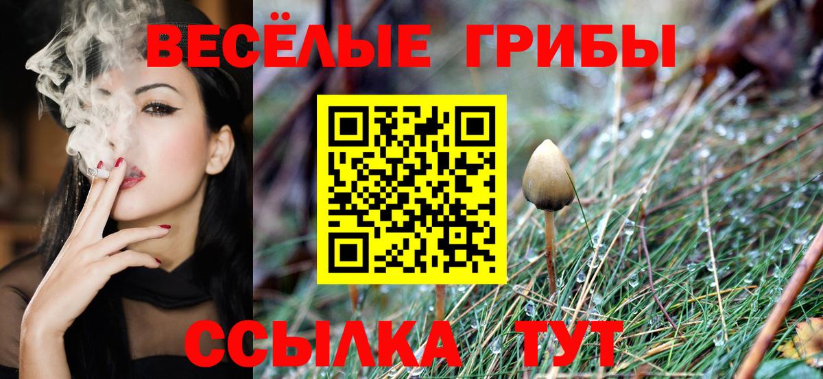 Галлюциногенные грибы мицелий Бугуруслан