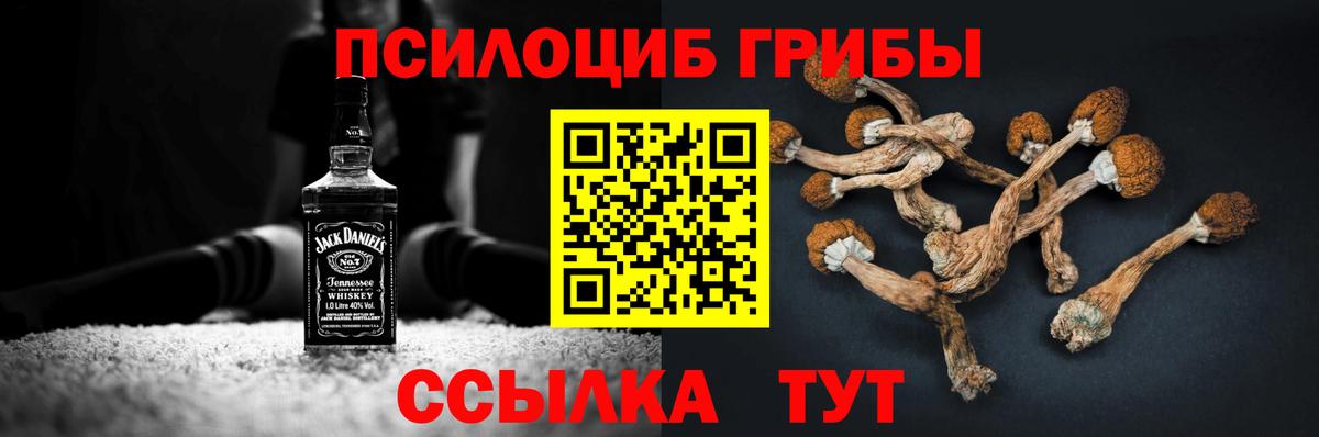 как найти закладки  Вход с VPN  Бугуруслан  Псилоцибиновые грибы Psilocybine cubensis 